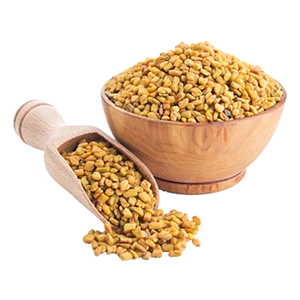 Premium fenugreek seeds in wooden bowl and scoop product image