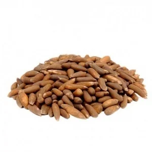 Premium pine nuts chilgoza product image